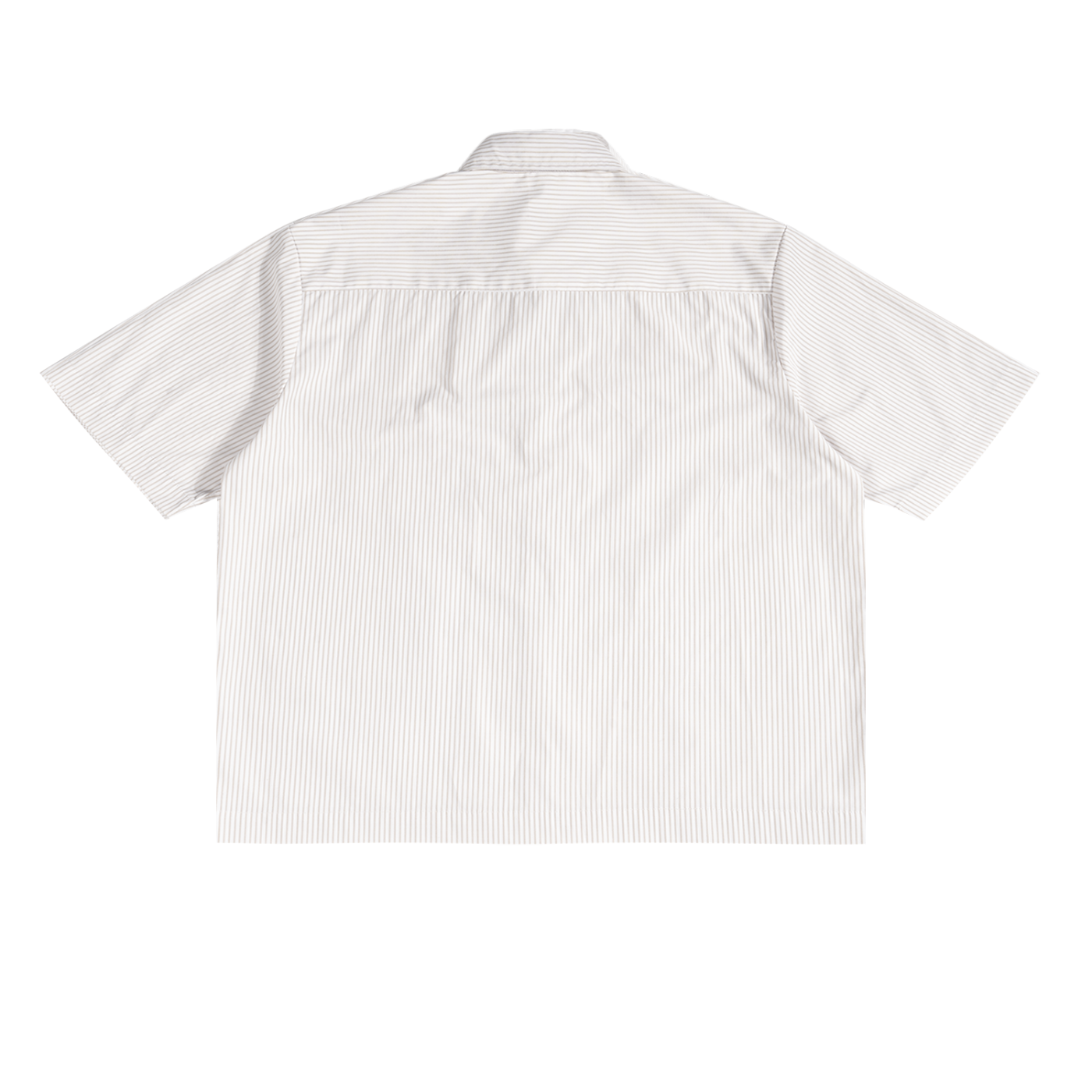 Men|unisex international