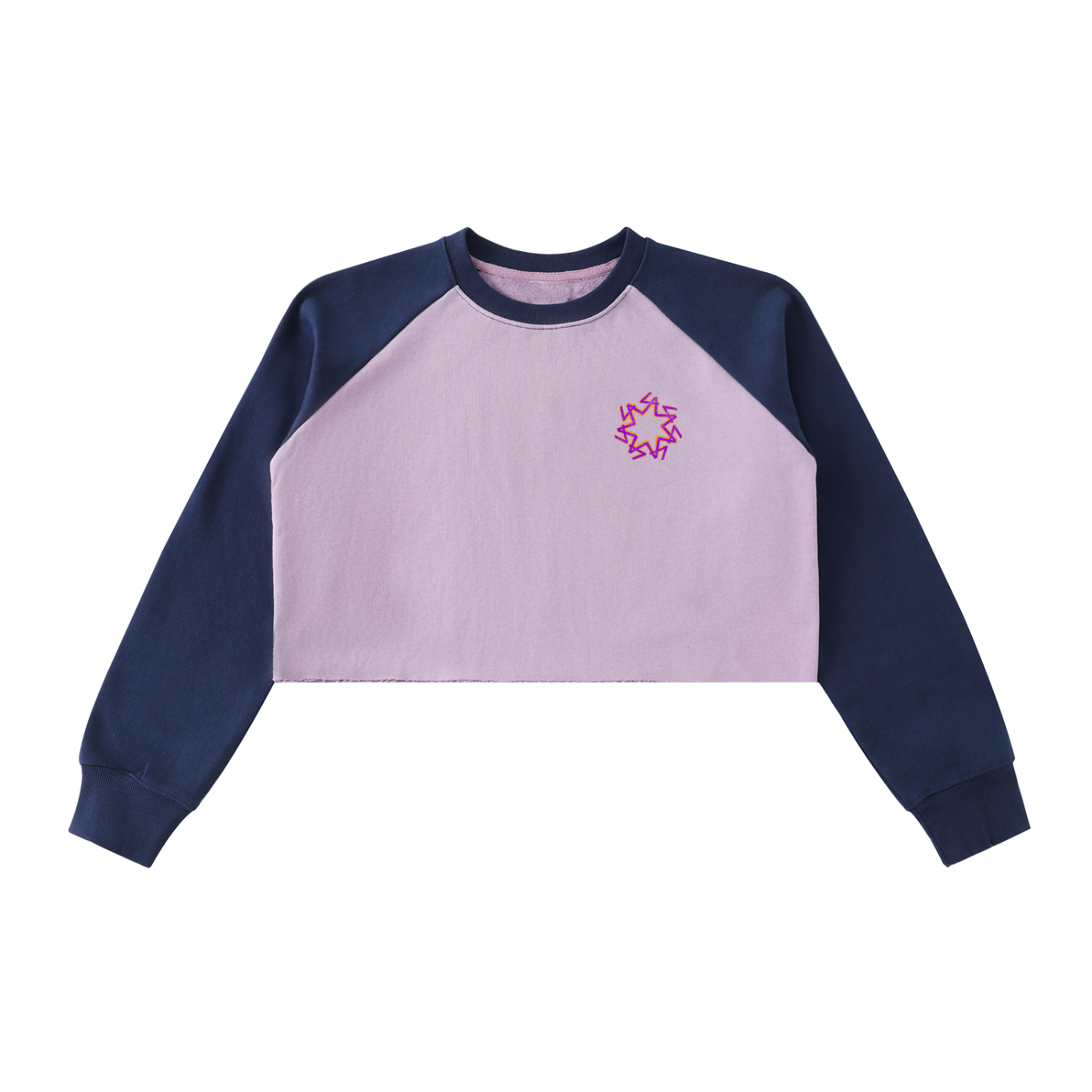 Raw-Hem Color-Block Snowsurfers Anonymes Crop Sweatshirt