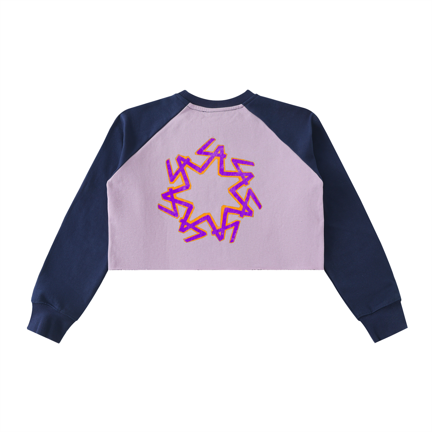 Raw-Hem Color-Block Snowsurfers Anonymes Crop Sweatshirt