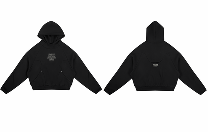 Unisex Curved Panel TS Hoodie