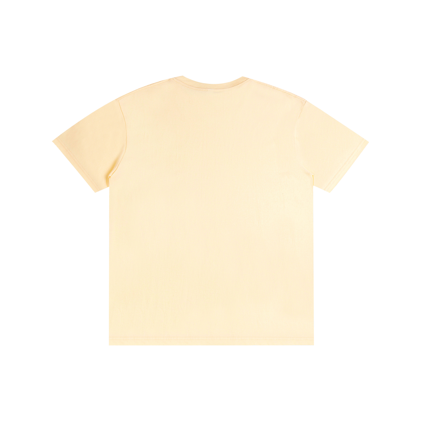 100% Cotton Unisex T-Shirt