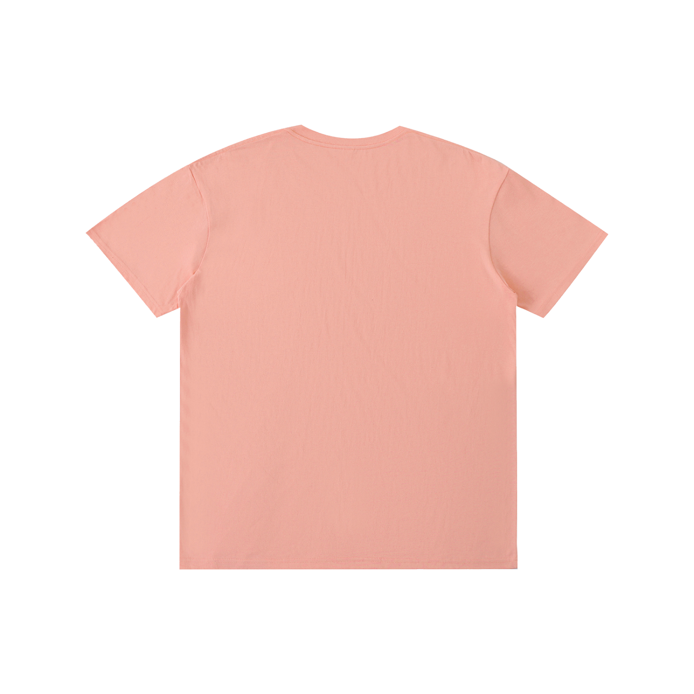 100% Cotton Unisex T-Shirt