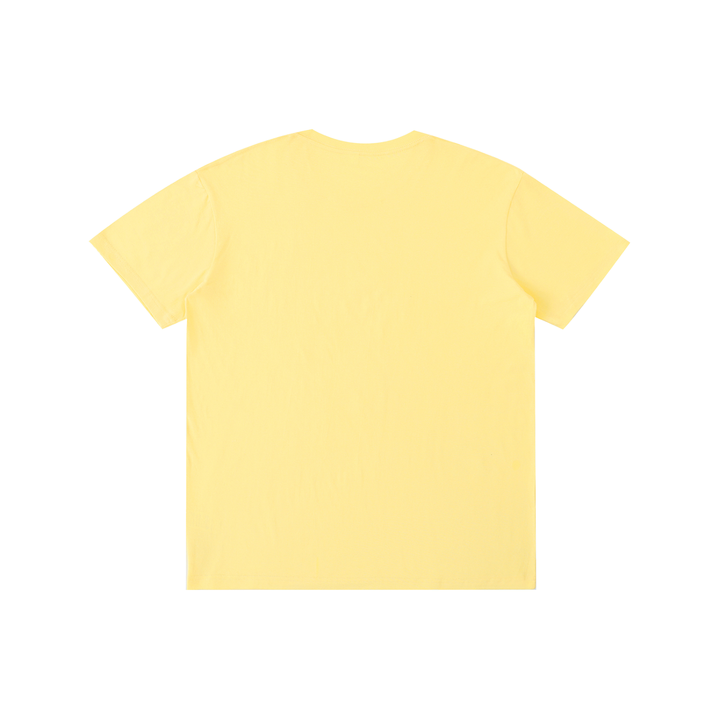 100% Cotton Unisex T-Shirt