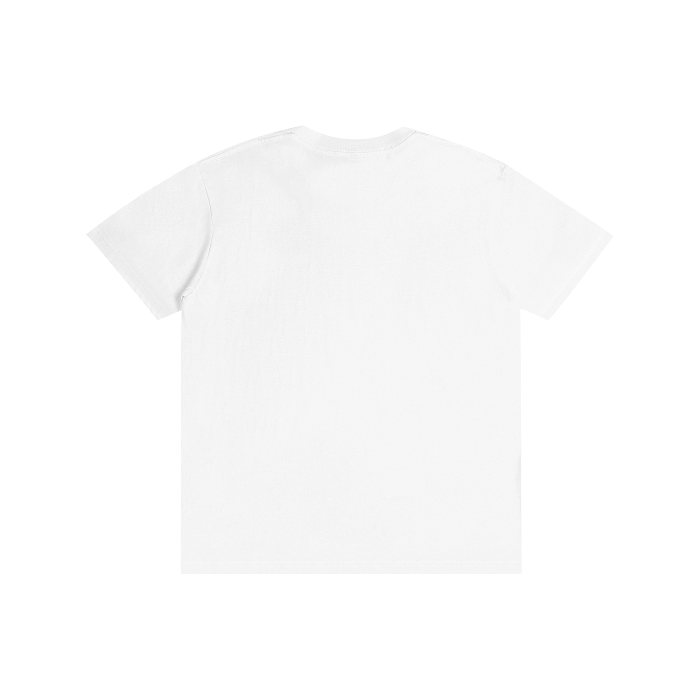 100% Cotton Unisex T-Shirt