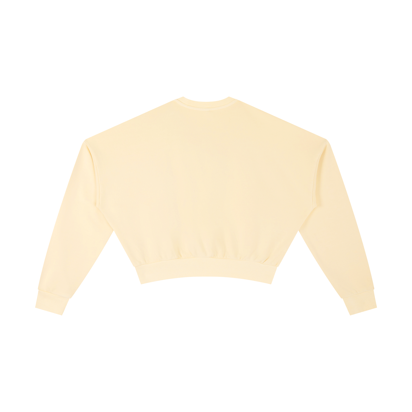 Women Washed Cropped Sweatshirt