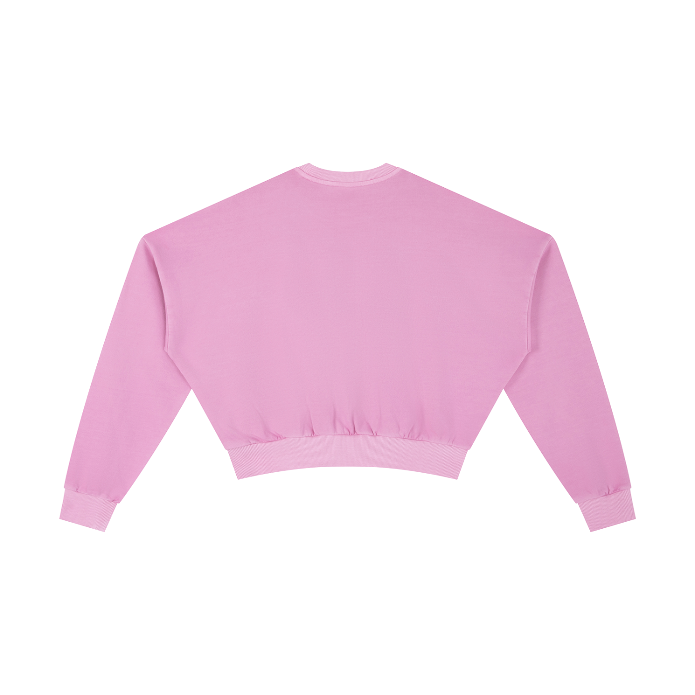 Women Washed Cropped Sweatshirt